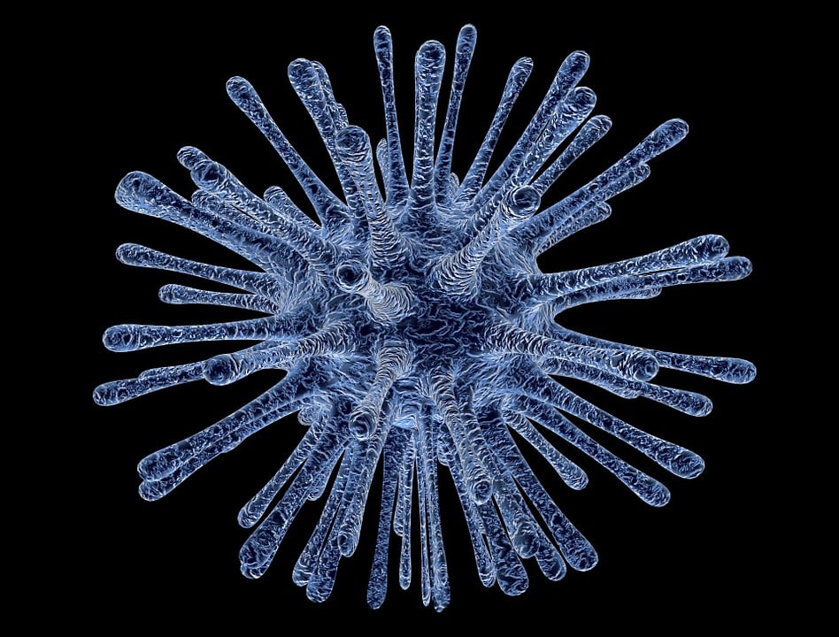papillomavirus comment l attraper