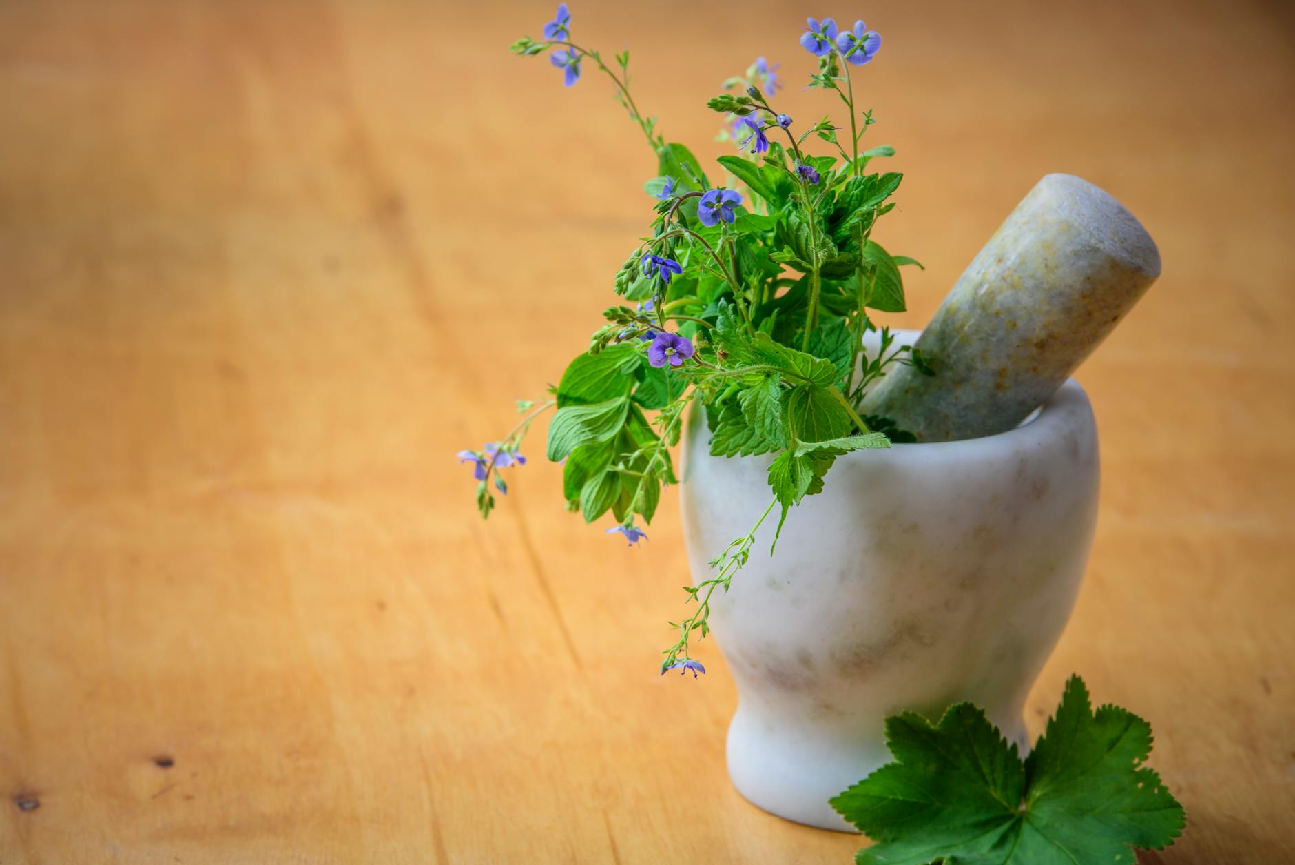 Helicobacter pylori traitement naturel alimentation : que retenir