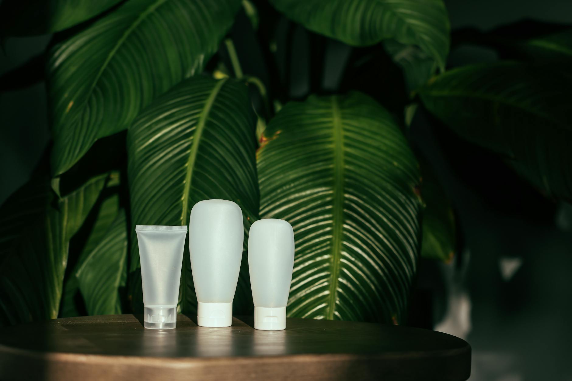 Pots de cosmétiques bio entourés de feuilles vertes