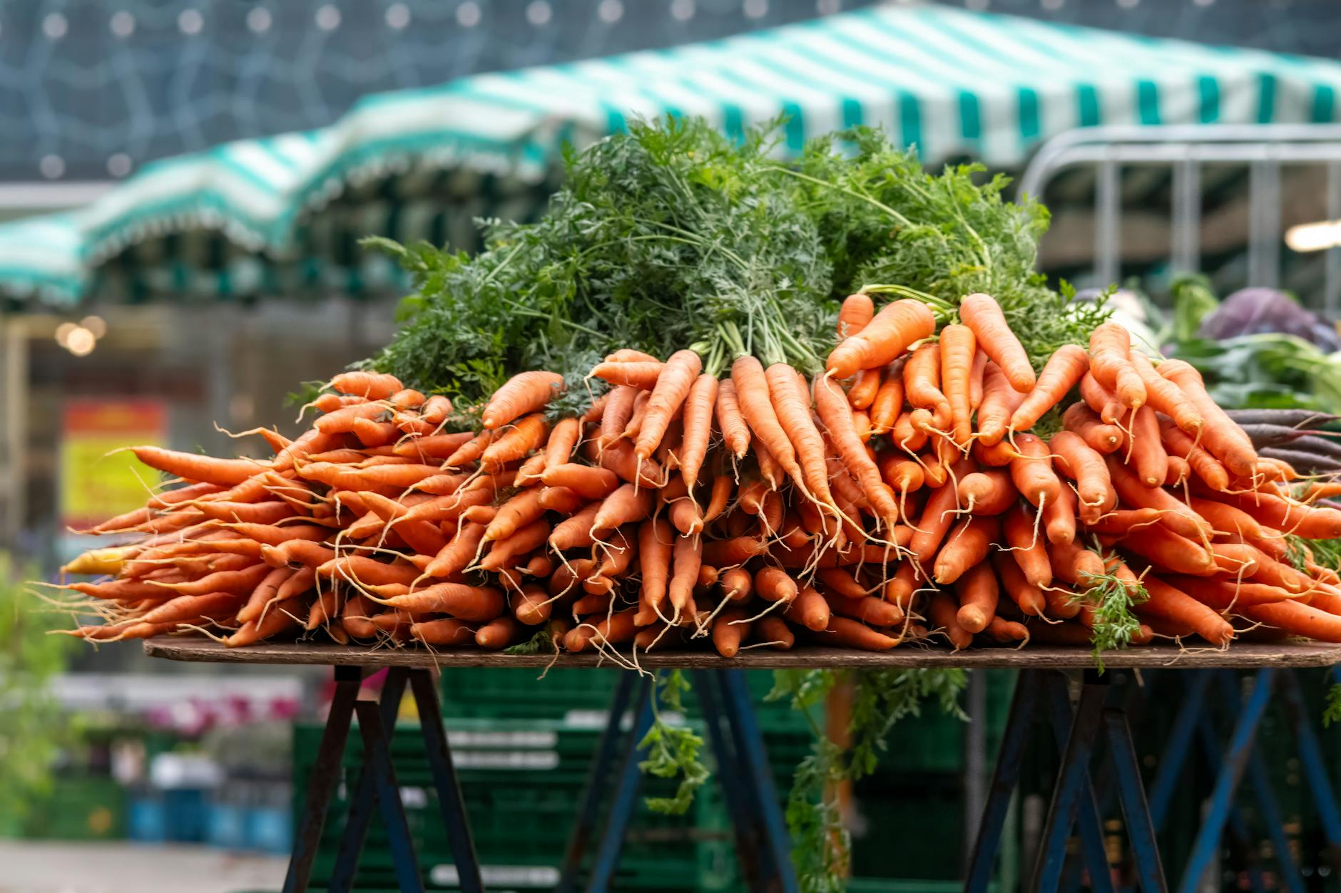 Santé oculaire nutrition visée oculaire : que privilégier